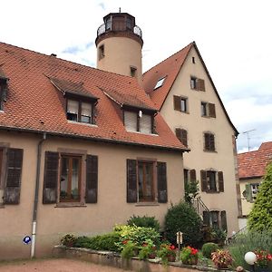 Апартаменты Le Manoir De L'Abbaye Саверн Exterior photo