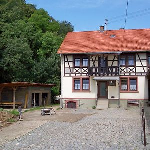 Вилла Pferdehof Und Wanderreitstation Doersam Moerlenbach Exterior photo