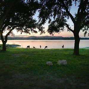 Medina Lake Camping Resort Cabin 7 Lakehills Exterior photo