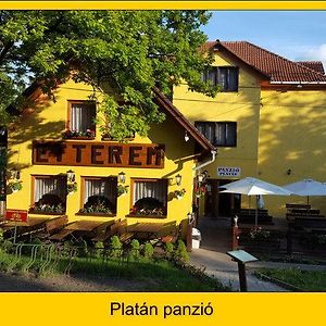 Отель Platan Panzio Добогокё Exterior photo