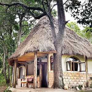 Гостевой дом House In The Wild Масаи-Мара Exterior photo