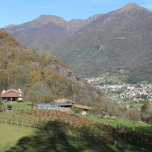 Вилла Agriturismo Il Mirtillo B,B Pasturo Exterior photo