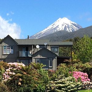 Апартаменты Georges Bnb Nature And Lifestyle Retreat Нью-Плимут Exterior photo