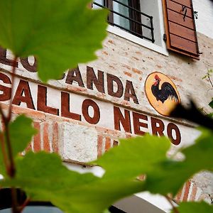 Отель Al Gallo Nero Borgoricco Exterior photo