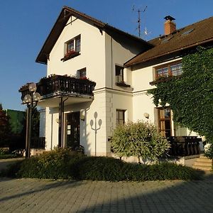 Villa Zerotin Penzion Bed & Breakfast Велке Лосины Exterior photo