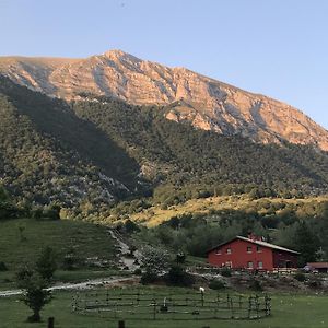 Вилла La Fattoria Di Morgana Опи Exterior photo