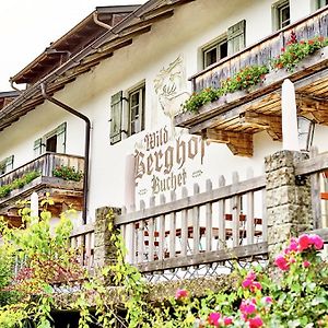 Отель Wild-Berghof Buchet Бернрид Exterior photo