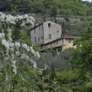 Bed and Breakfast Le Tre Colombe Баньо-а-Риполи Exterior photo