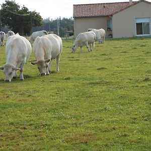 Bed and Breakfast Chambre D'Hotes La Basse Gougeonniere Neuvy-en-Mauges Exterior photo