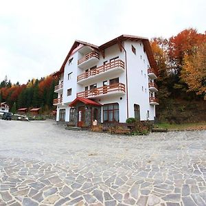 Hotel Paltinis Statjunea Borsa Exterior photo