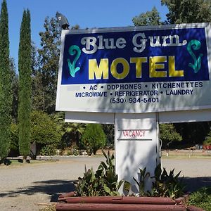 Blue Gum Motel Уиллоус Exterior photo