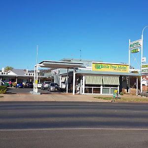 Wattle Tree Motel Кутамундра Exterior photo