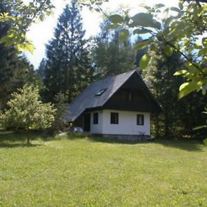 Отель Apartmaji In Sobe Bohinjsko Jezero Уканц Exterior photo