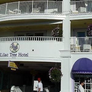 Lilac Tree Suites Макино Exterior photo