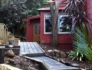 Отель The Coromandel Treehouse Exterior photo