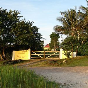 Отель Casa Del Caballo Blanco Сан-Игнасио Exterior photo