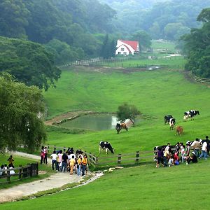 Отель Flying Cow Ranch Tongxiao Exterior photo