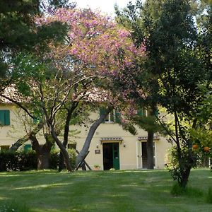 Bed and Breakfast Locanda Strada Della Marina Scapezzano Exterior photo