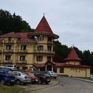 Отель Vila Pufu Слэник-Молдова Exterior photo