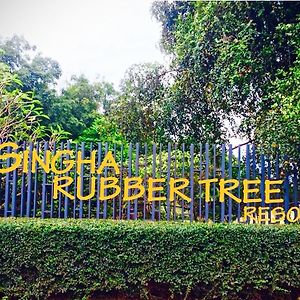 Отель Singha Rubber Tree Сайок Exterior photo