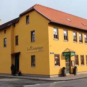 Отель Zum Ginkgobaum Stadtilm Exterior photo
