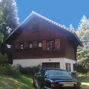 Bed and Breakfast Chalet Les Sequoias Saint-Remy-sur-Durolle Exterior photo