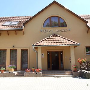 Bed and Breakfast Olze Panzio Эрдёбенье Exterior photo