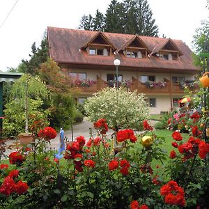 Отель Gaestehaus Zur Schoenen Aussicht Wies Exterior photo