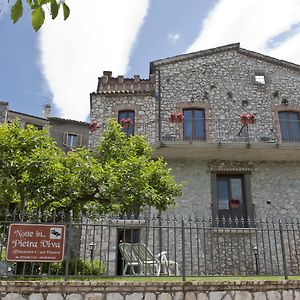 Апартаменты Holiday House "Pietra Viva" Castelnuovo Parano Exterior photo