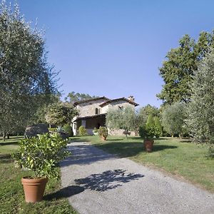 Villa Broccolo Капаннори Exterior photo