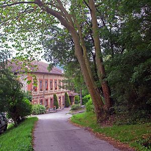 Отель Chateau Lou Cante Perdrix La Vernarede Exterior photo