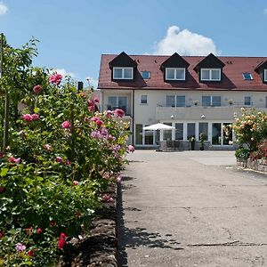 Отель Felshof - Weingut & Gaestehaus Зоммерхаузен Exterior photo