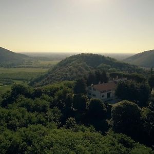 Bed and Breakfast Fattoria Busa Dell'Oro Monte Ortone Exterior photo