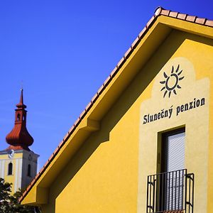 Отель Slunecny Penzion Tasovice Exterior photo