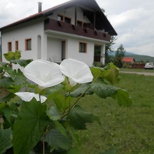 Guesthouse Matija Ириновац Exterior photo