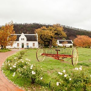 Bed and Breakfast Basse Provence Country House Франсхук Exterior photo