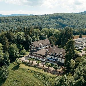 Bienenberg - Das Genusshotel Im Gruenen - Листаль Exterior photo