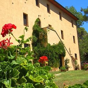 Вилла Agriturismo Lupo Vecchio Гроссето Exterior photo