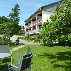 Hotel Garni Jaegerhof Зигмаринген Exterior photo