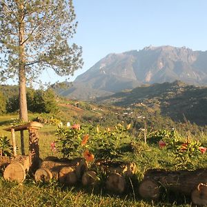 Jabez Resort Kundasang Exterior photo