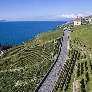 Отель Domaine Du Burignon Saint-Saphorin Exterior photo