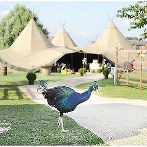 Отель Skipbridge Farm Shepherds Huts Campground Green Hammerton Exterior photo