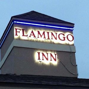 Flamingo Inn Элк-Сити Exterior photo