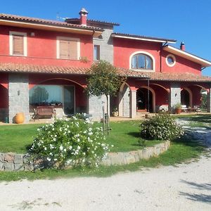 Вилла Agriturismo Casal Grande Canepina Exterior photo