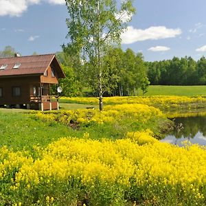 Вилла Atputas Vieta Upes Sausites Sidrabini Exterior photo