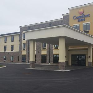 Comfort Inn Уайт-Хаус Exterior photo