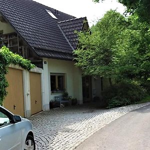 Ferienwohnung Ringbergblick Зуль Exterior photo