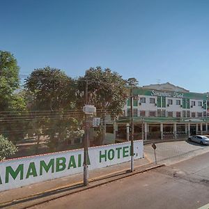 Samambaia Hotel Фос-ду-Игуасу Exterior photo