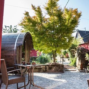 Отель Auberge Au Boeuf Sessenheim Exterior photo