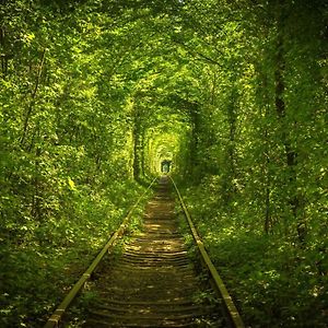 Hotel Tunnel Of Love Клевань Exterior photo